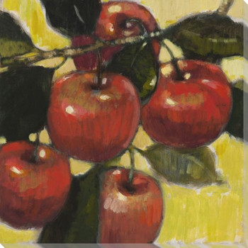 Vibrant Fruit Apples IV Wrapped Canvas Giclee Print Wall Art