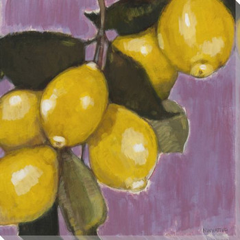 Vibrant Fruit Lemons III Wrapped Canvas Giclee Print Wall Art