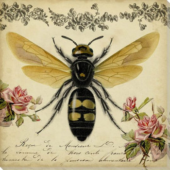 From the Rose Garden I Bee Wrapped Canvas Giclee Print Wall Art