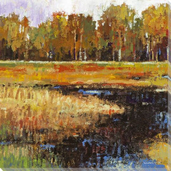 Clear Water Creek II Wrapped Canvas Giclee Print Wall Art