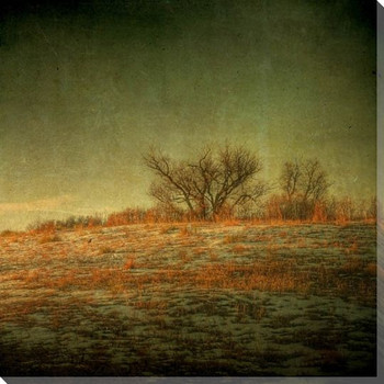Scrub Oak Ridge Scenic Wrapped Canvas Giclee Print Wall Art