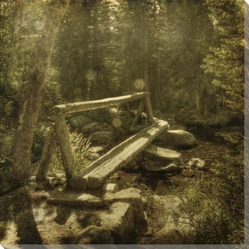 Log Bridge in the Forest Wrapped Canvas Giclee Print Wall Art