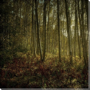 Floor of Yellow and Rust Forest View Wrapped Canvas Giclee Print