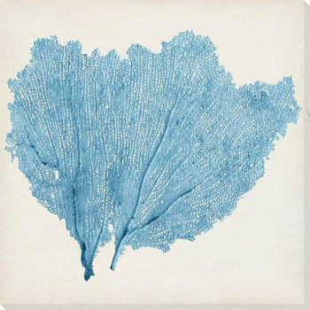 Sea Fan IV Wrapped Canvas Giclee Print Wall Art