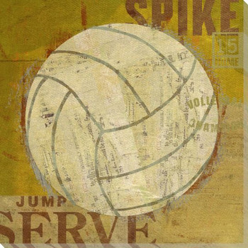 Volleyball Wrapped Canvas Giclee Print Wall Art