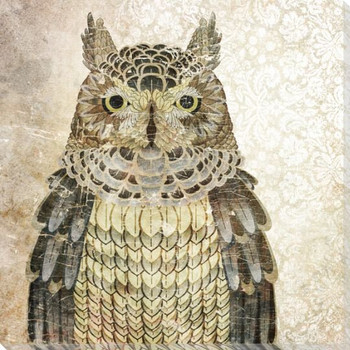 Owl Bird I Wrapped Canvas Giclee Print Wall Art
