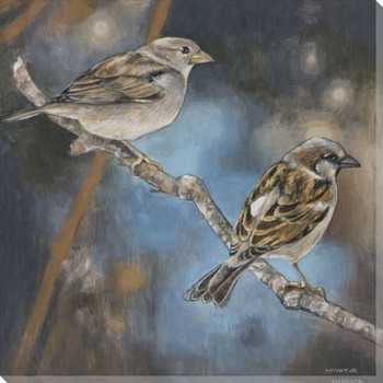 Resting Sparrow Birds II Wrapped Canvas Giclee Print Wall Art