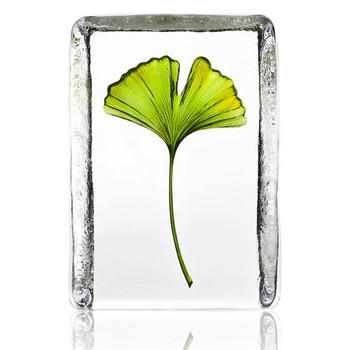 Gingko Etched Painted Crystal Sculpture by Mats Jonasson