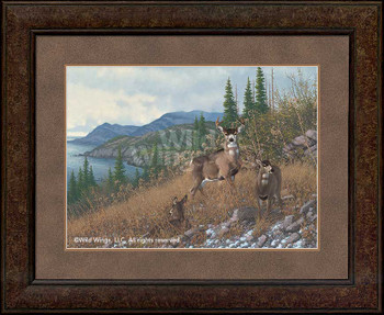 Kodiak Island Blacktail Deer Framed Art Print Wall Art