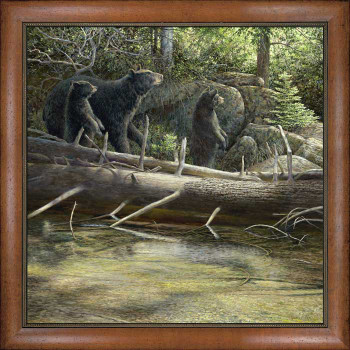 Stream Side Black Bears Framed Canvas Giclee Art Print Wall Art