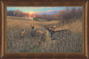 Harvest Time Whitetail Deer Framed Canvas Giclee Art Print Wall Art
