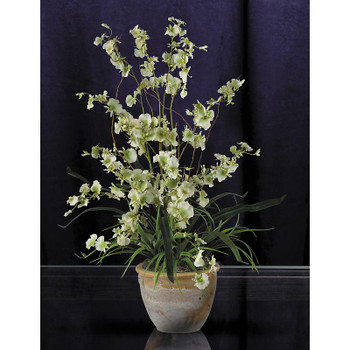 Dancing Lady Silk Orchid Arrangement - Green