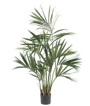 5' Kentia Palm Silk Tree