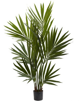 4' Spikey Kentia Palm Silk Tree