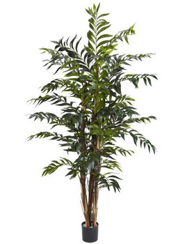 5' Bamboo Palm Silk Tree