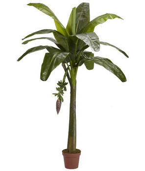 6' Banana Real Touch Silk Tree