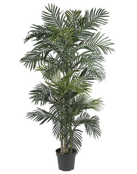 6.5' Golden Cane Palm Silk Tree