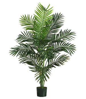 5' Paradise Palm