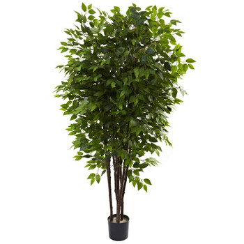6.5' Deluxe Silk Ficus Tree
