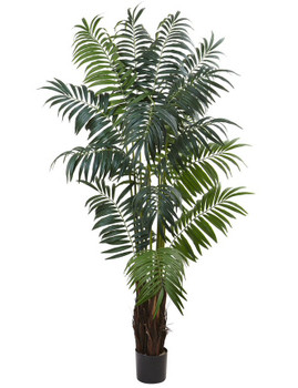7.5' Bulb Areca Palm Silk Tree