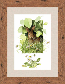 Cloaked in Green Rabbit Framed Art Print Wall Art