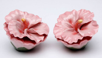 Hibiscus Flower Porcelain Salt and Pepper Shakers, Set of 4