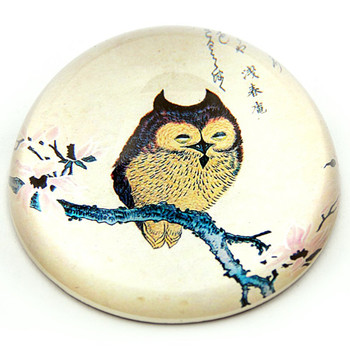Japanese Owl Bird on Magnolia Branch Woodblock Glass Paperweight