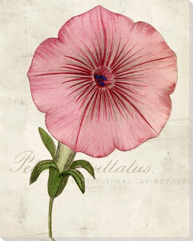 Floral Medley 28 Wrapped Canvas Giclee Art Print Wall Art