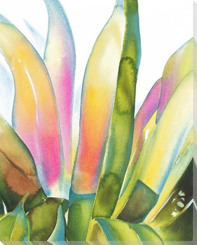 Agave Plant Wrapped Canvas Giclee Art Print Wall Art