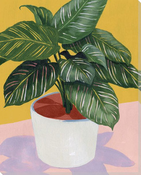 Calethea Plant I Wrapped Canvas Giclee Art Print Wall Art
