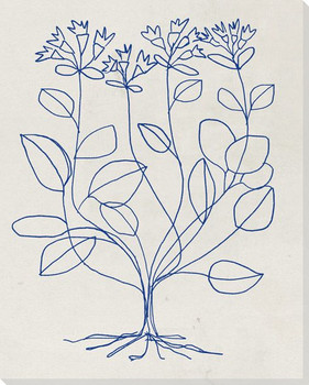 Loose Botanical 6 Wrapped Canvas Giclee Art Print Wall Art
