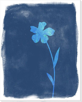 Cyanotype 4 Wrapped Canvas Giclee Art Print Wall Art