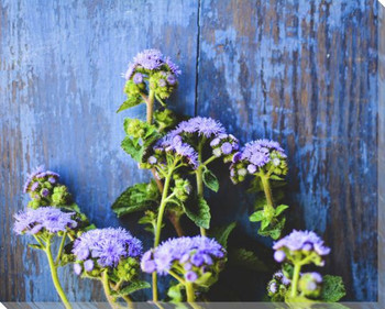 Happiness Purple Flowers Wrapped Canvas Giclee Art Print Wall Art