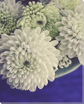 Quiet Morning White Flowers Wrapped Canvas Giclee Art Print Wall Art