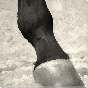 Chris Cummings 『THUNDER RIDGE』 証明書付 絵画 馬 Thunder Ridge Horses Framed Canvas Giclee Art Print Wall Art