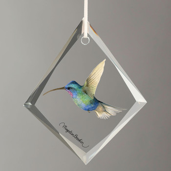Blue Tufted Starthroat Hummingbird Tear Drop Glass Christmas Tree Ornaments, Set of 6