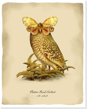 Hoohoot Wrapped Canvas Giclee Art Print Wall Art