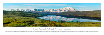 Denali National Park Blueberry Hill Panoramic Art Print