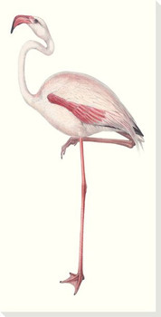 Flamingo Bird Alone 2 Wrapped Canvas Giclee Art Print Wall Art