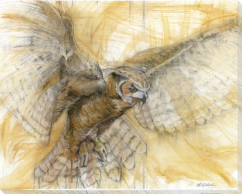 Flying Owl Bird Wrapped Canvas Giclee Art Print Wall Art