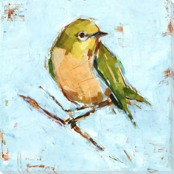 Bird Variety II Wrapped Canvas Giclee Art Print Wall Art