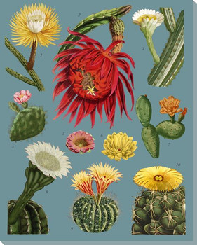 Botanical Study 4 Wrapped Canvas Giclee Art Print Wall Art