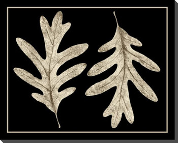 Fossilized Leaves 1 Wrapped Canvas Giclee Art Print Wall Art
