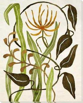 Botanical Mix 1 Wrapped Canvas Giclee Art Print Wall Art