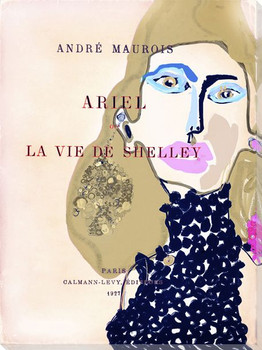 La Vie De Shelley Wrapped Canvas Giclee Art Print Wall Art