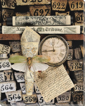 Moth Wrapped Canvas Giclee Art Print Wall Art