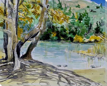 Hidden Pond Wrapped Canvas Giclee Art Print Wall Art