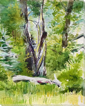 Forest Getaway Wrapped Canvas Giclee Art Print Wall Art