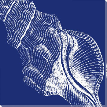 Saturated Shells III Wrapped Canvas Giclee Art Print Wall Art