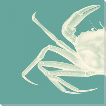 Contrasting Crab in Turquoise A Wrapped Canvas Giclee Art Print Wall Art
